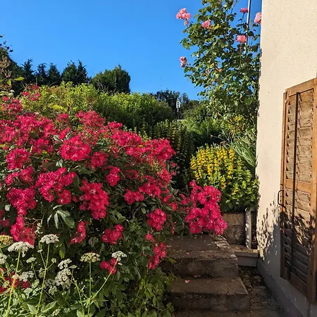 Vakantiehuis A Deux Pas De Center Parcs Les Trois Forets *