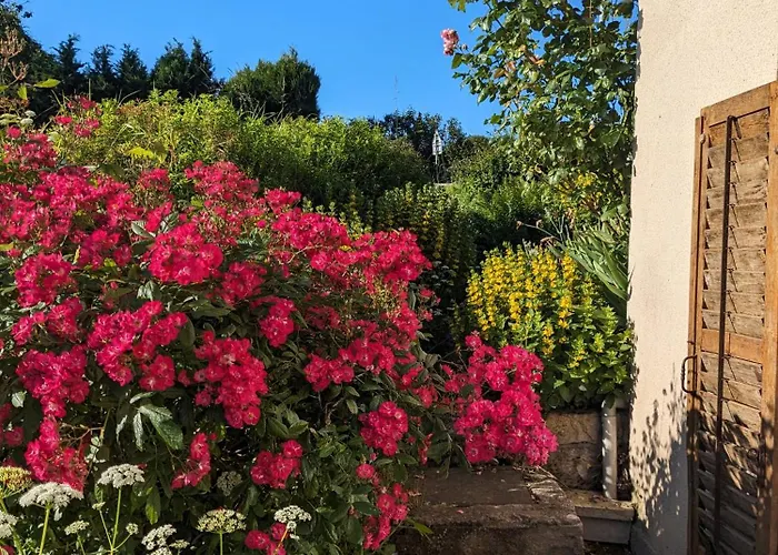 Hébergement de vacances à Deux Pas De Center Parcs Les Trois Forêts *